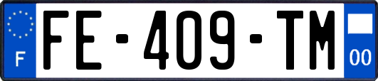 FE-409-TM