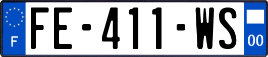 FE-411-WS