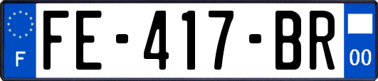 FE-417-BR
