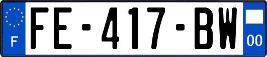 FE-417-BW
