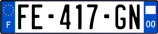 FE-417-GN