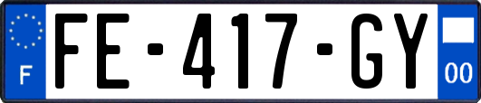 FE-417-GY