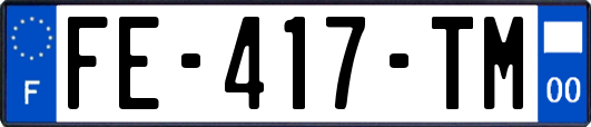 FE-417-TM