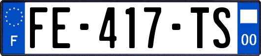 FE-417-TS