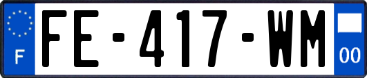 FE-417-WM