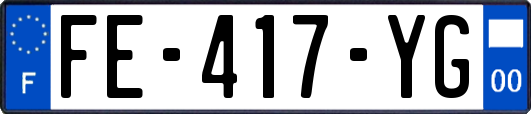 FE-417-YG