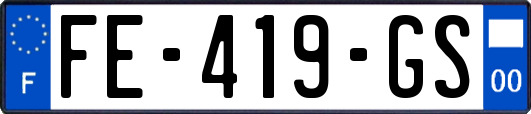 FE-419-GS