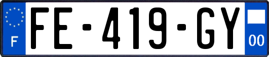 FE-419-GY