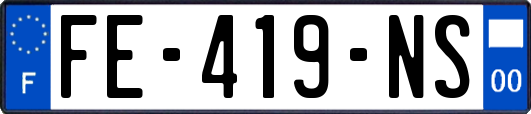 FE-419-NS