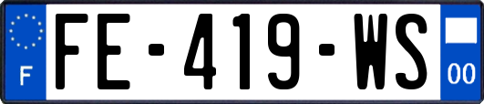 FE-419-WS