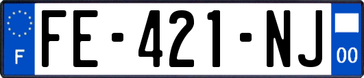 FE-421-NJ