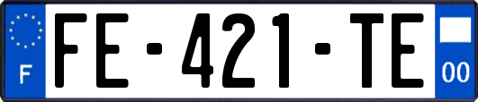 FE-421-TE