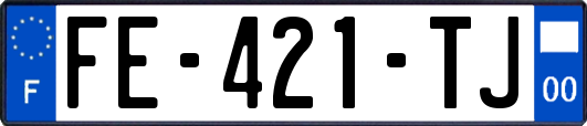 FE-421-TJ