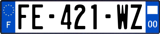 FE-421-WZ