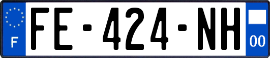 FE-424-NH