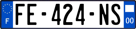 FE-424-NS