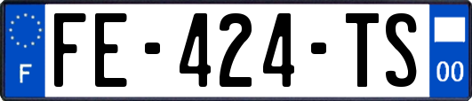 FE-424-TS