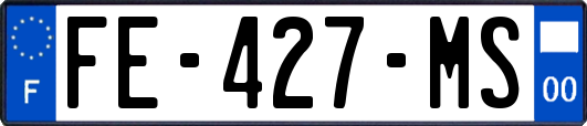 FE-427-MS