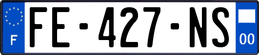 FE-427-NS