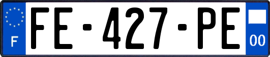FE-427-PE