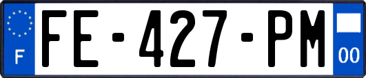 FE-427-PM