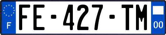 FE-427-TM