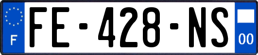 FE-428-NS