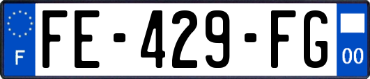 FE-429-FG