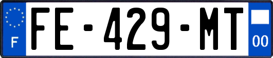 FE-429-MT