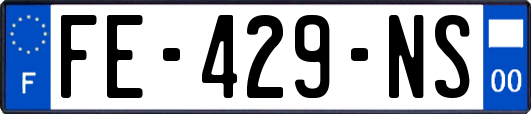 FE-429-NS