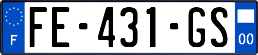 FE-431-GS