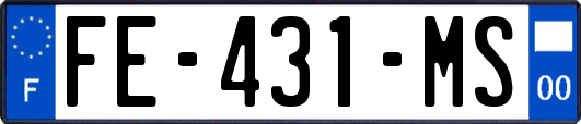 FE-431-MS
