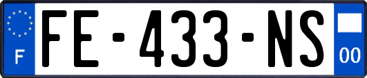 FE-433-NS