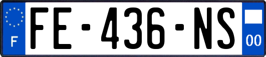 FE-436-NS