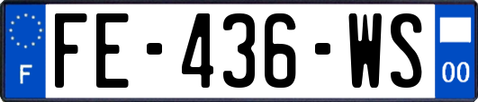 FE-436-WS