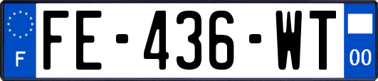 FE-436-WT