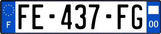 FE-437-FG