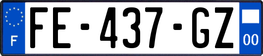 FE-437-GZ