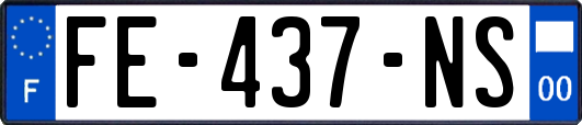 FE-437-NS