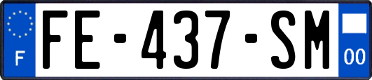 FE-437-SM