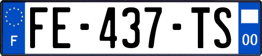 FE-437-TS