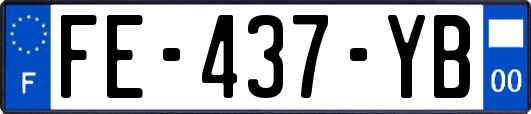 FE-437-YB