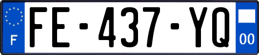 FE-437-YQ
