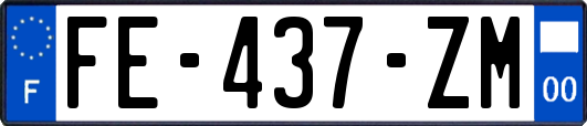 FE-437-ZM