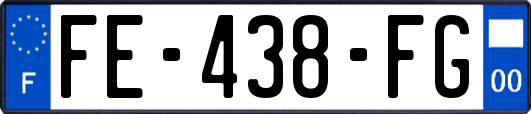FE-438-FG