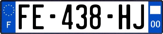 FE-438-HJ