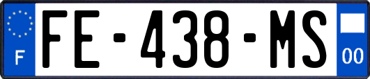 FE-438-MS