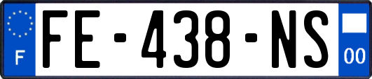 FE-438-NS