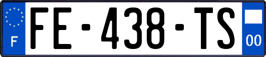 FE-438-TS