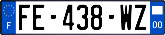 FE-438-WZ